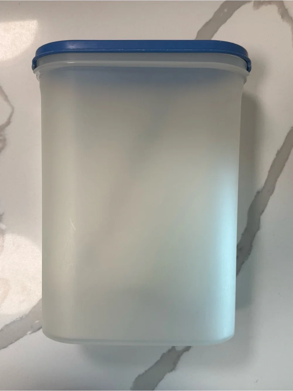 Vintage Tupperware Modular Mates Oval 4 Storage Canister Blue Lid 9.75 Cup